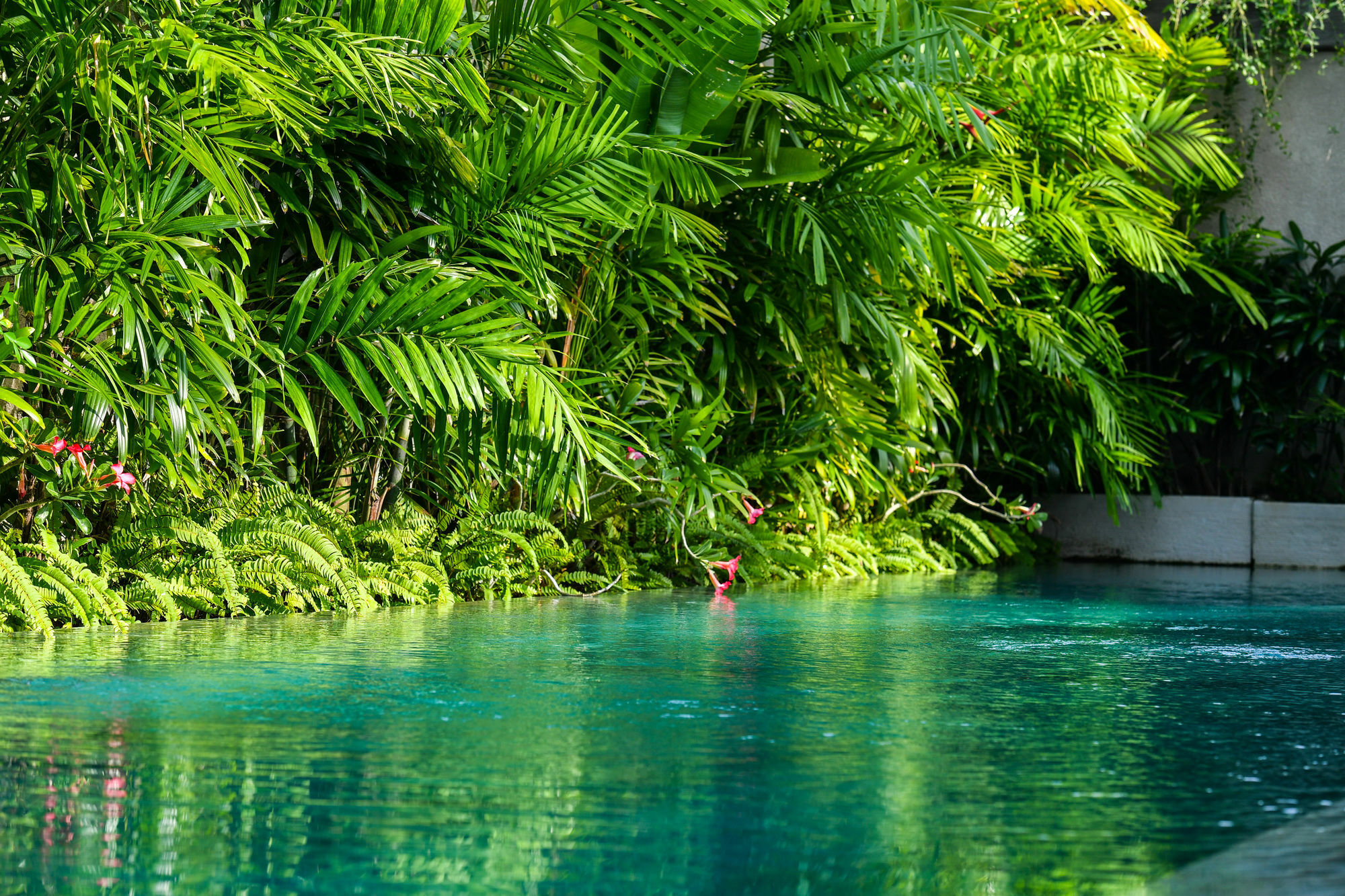 Villa Lala Kuta Lombok Zewnętrze zdjęcie